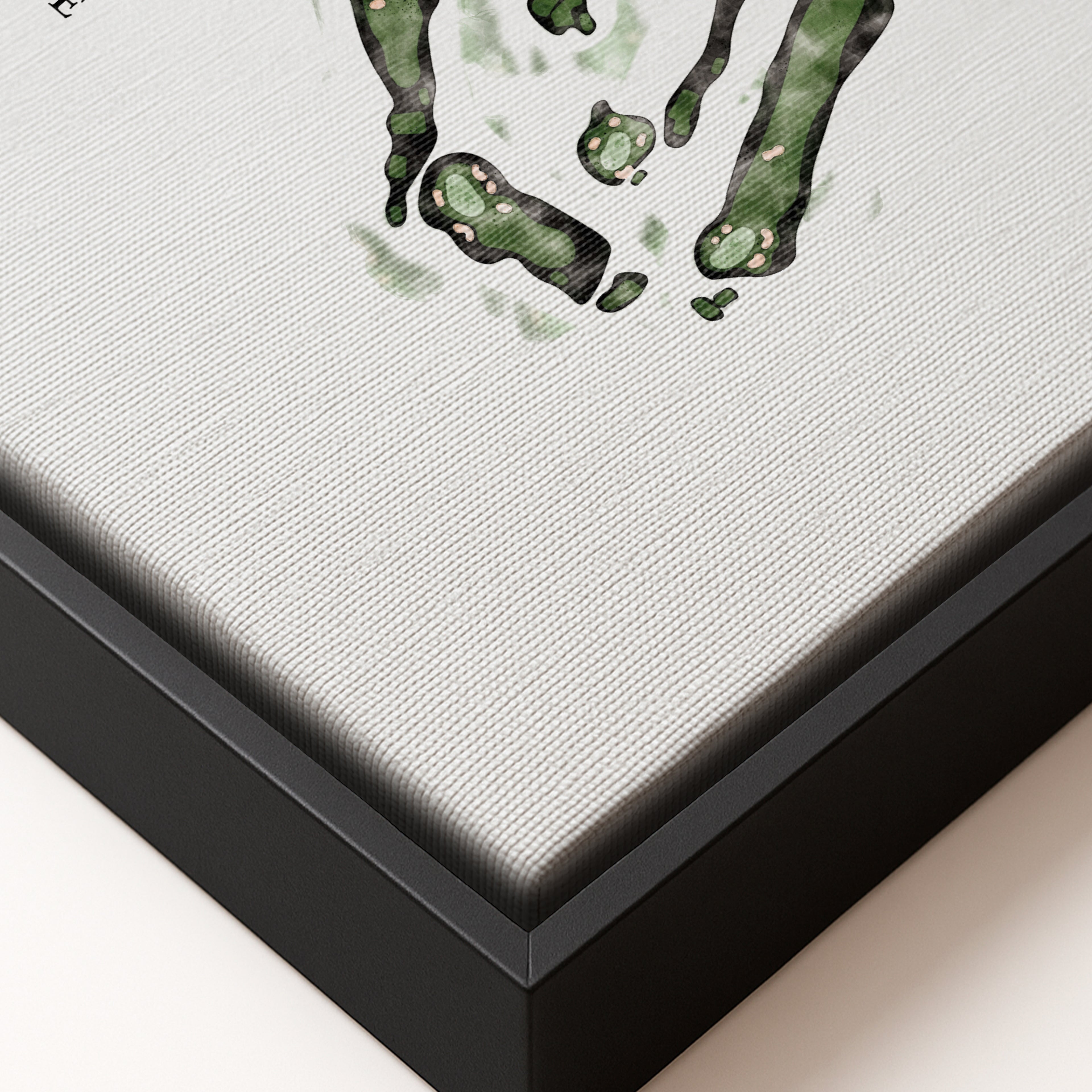 Tray Framed Floating Canvas